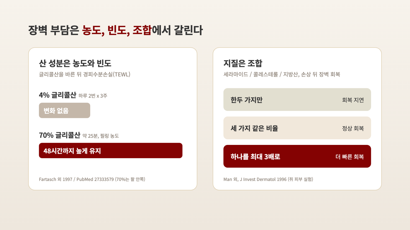 같은 글리콜산도 4%를 하루 두 번 3주 쓰면 수분 손실 변화가 없었고, 70%는 가벼운 자극이 생길 때까지 두자 48시간까지 높았다. 지질은 한두 가지만 바르면 회복이 늦어지고 세 가지를 함께 써야 정상으로 돌아왔다
