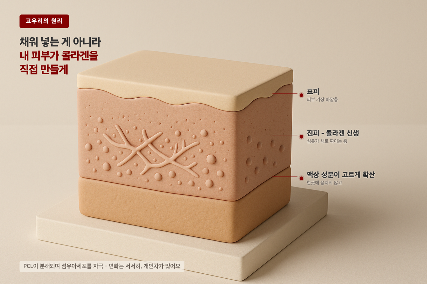 따뜻한 베이지 톤으로 표현한 피부 단면층과 그 안에서 콜라겐 섬유가 새로 생겨나는 과정을 보여주는 3D 모형 도식