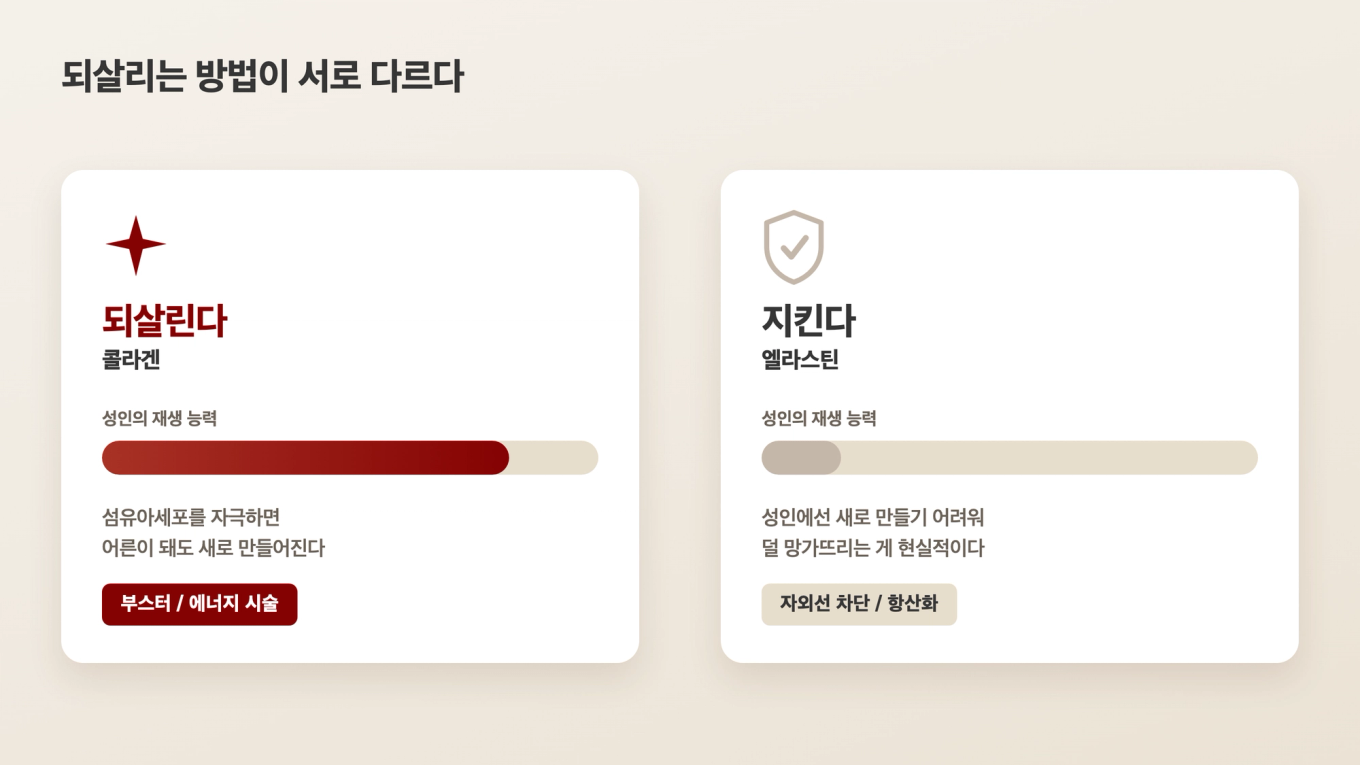 콜라겐은 자극해 새로 짓고, 엘라스틴은 지키는 쪽으로 접근이 갈리는 비교