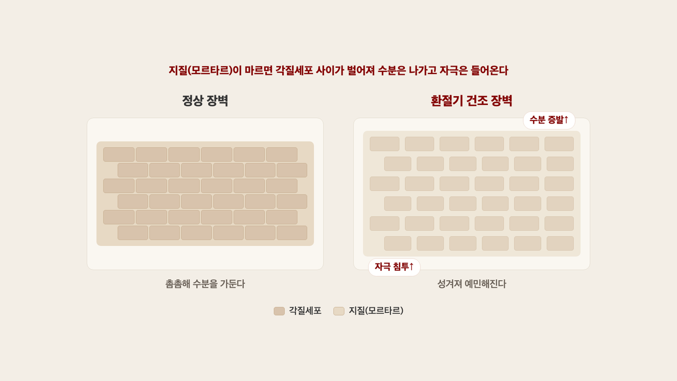 각질층 장벽을 벽돌담에 빗대어, 지질이 촘촘한 정상 장벽과 환절기에 지질이 말라 틈이 벌어진 장벽을 나란히 둔 모습 - 틈으로 수분이 빠지고 자극이 들어온다