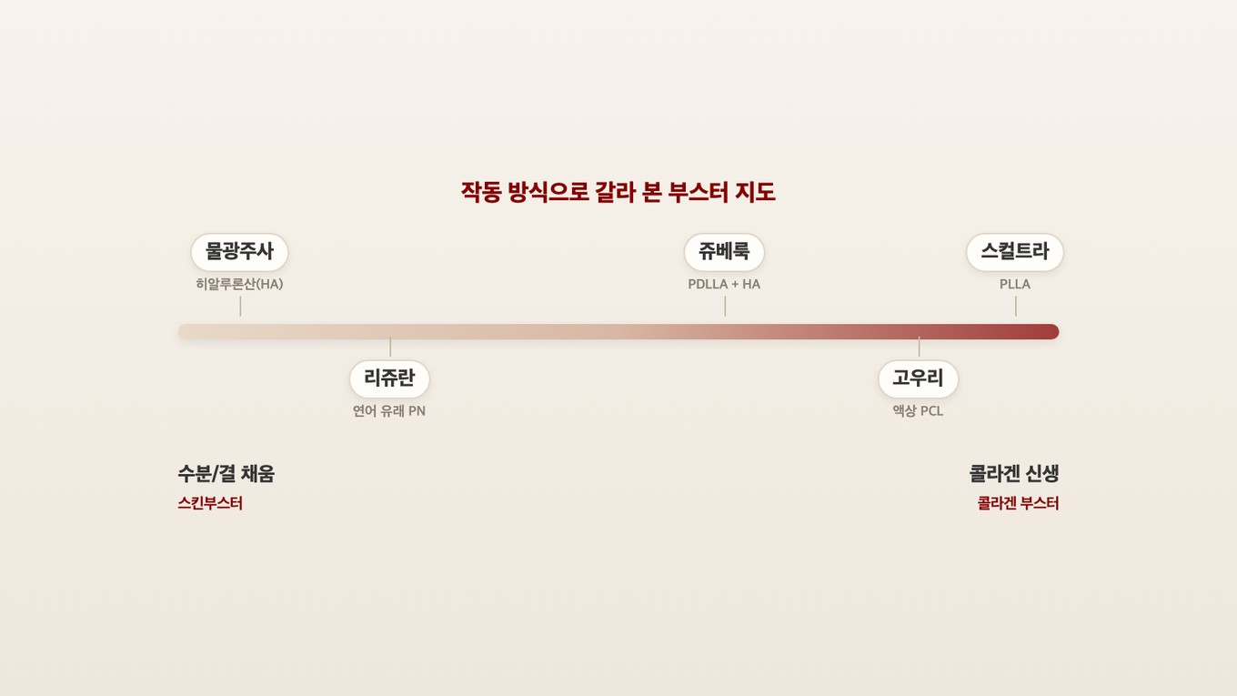 시장 통칭인 물광주사(HA)는 수분/결 채움 쪽, 스컬트라와 고우리는 콜라겐 신생 쪽, 리쥬란과 쥬베룩은 그 사이에 자리한다