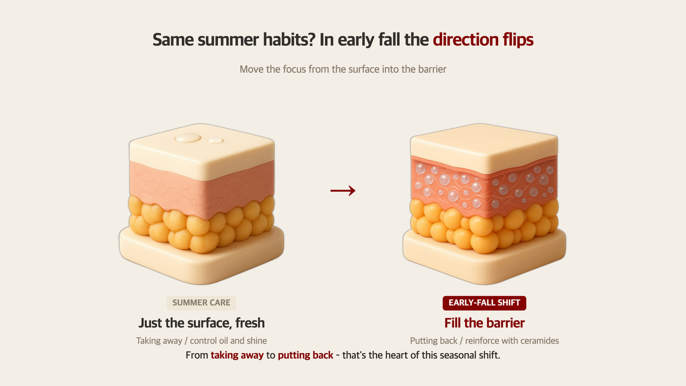 A comparison showing the shift in skincare focus from light summer gels to barrier-supporting creams in early fall with 3D skin models