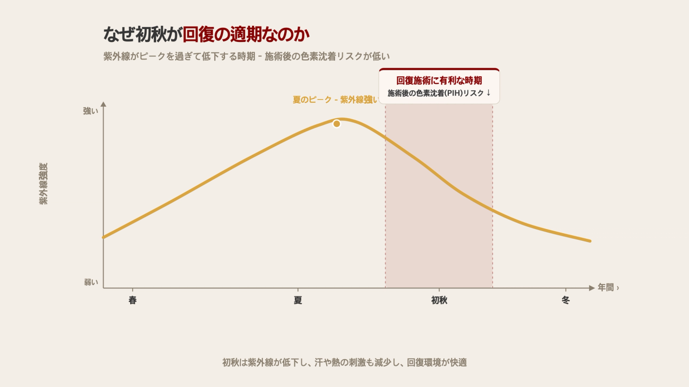 年間の紫外線強度が夏のピークを過ぎて初秋に下がることで、施術後の色素沈着リスクが低くなる回復に有利な期間が開かれることを示す図