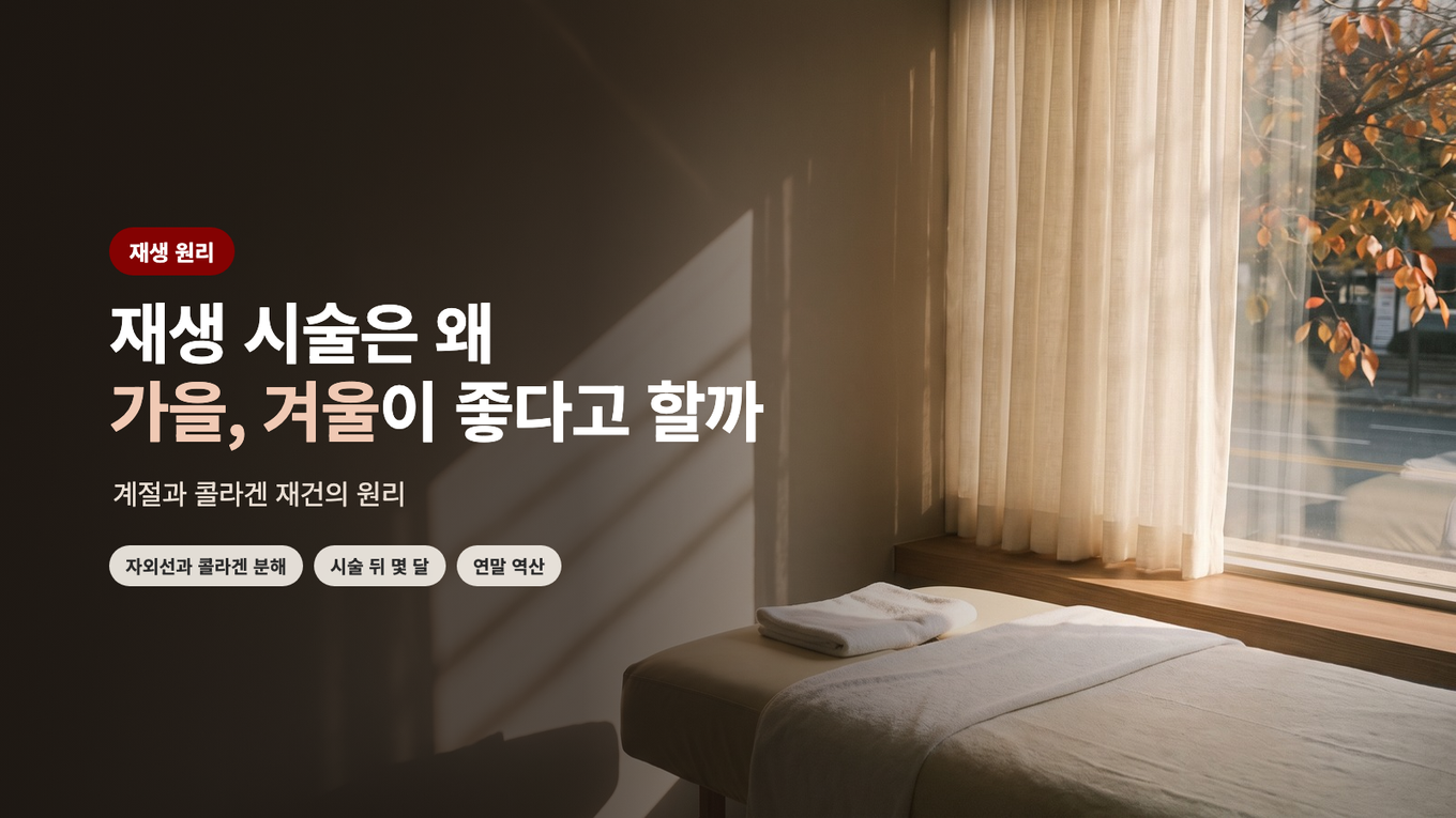 재생 시술은 왜 가을, 겨울이 좋다고 할까 - 계절과 콜라겐 재건의 원리
