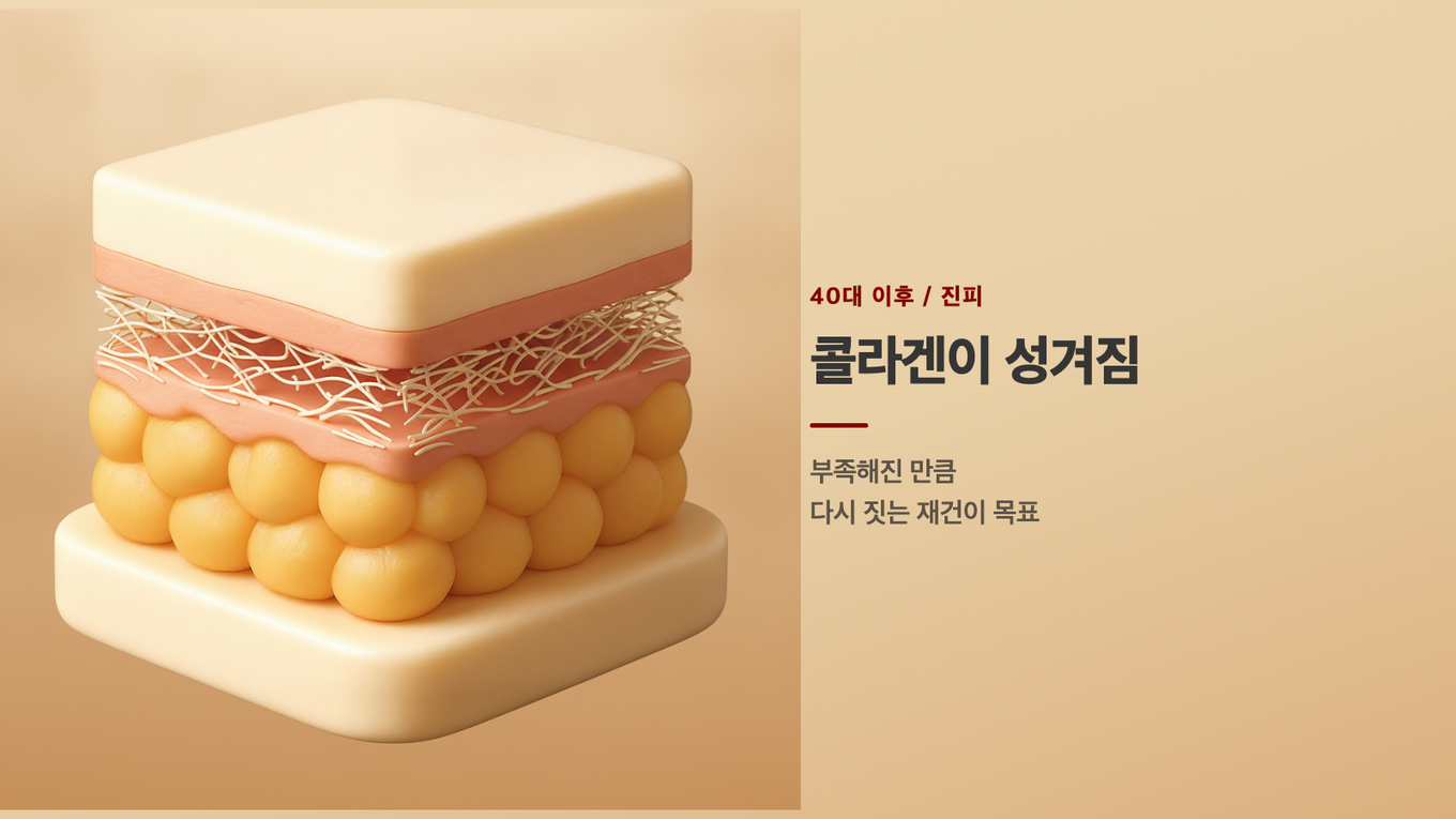 40대 이후 진피는 콜라겐이 성겨져, 지키기보다 다시 짓는 재건이 목표가 된다