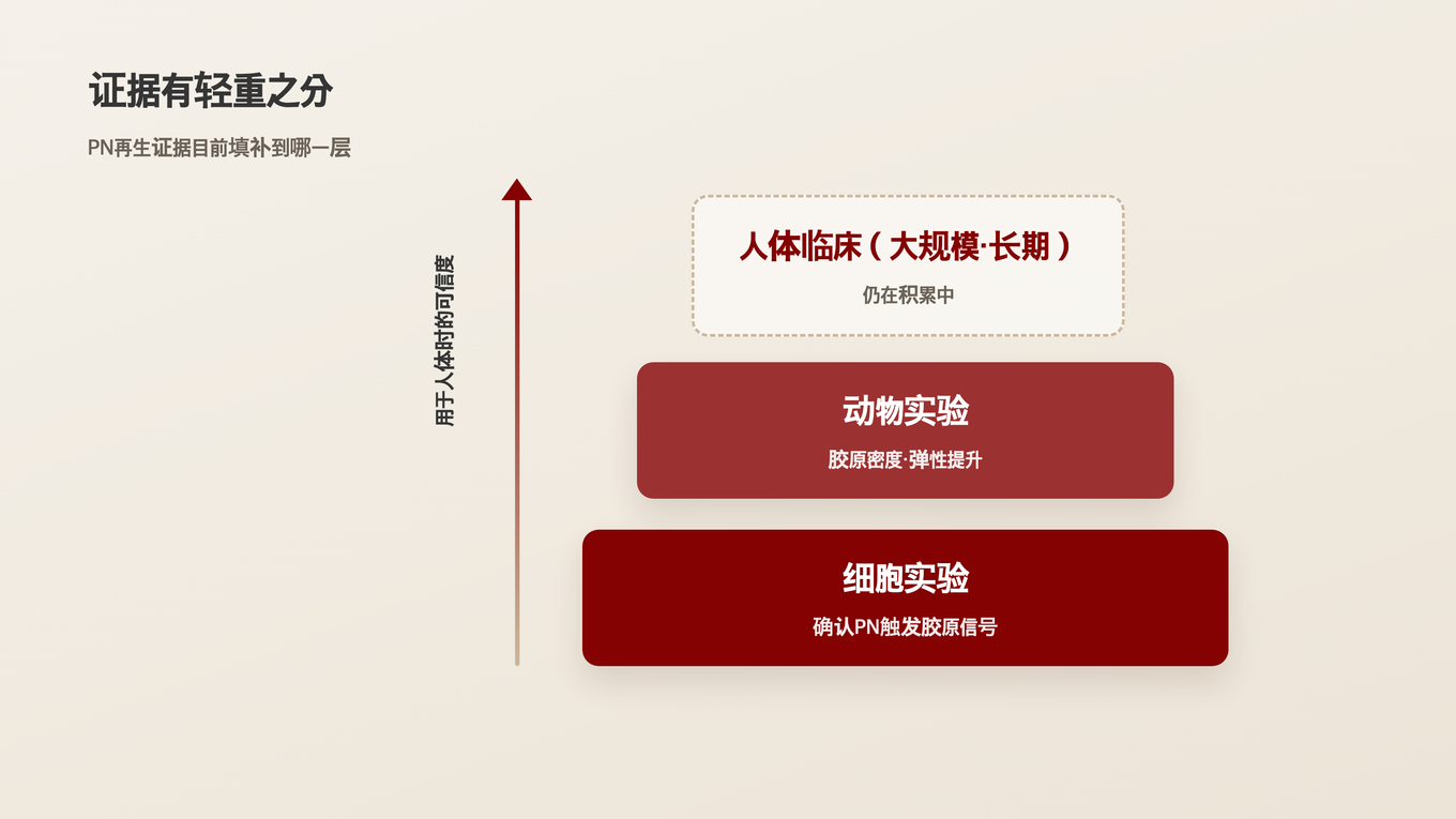 从细胞实验到动物实验,再到人体临床,科学证据等级逐级提升
