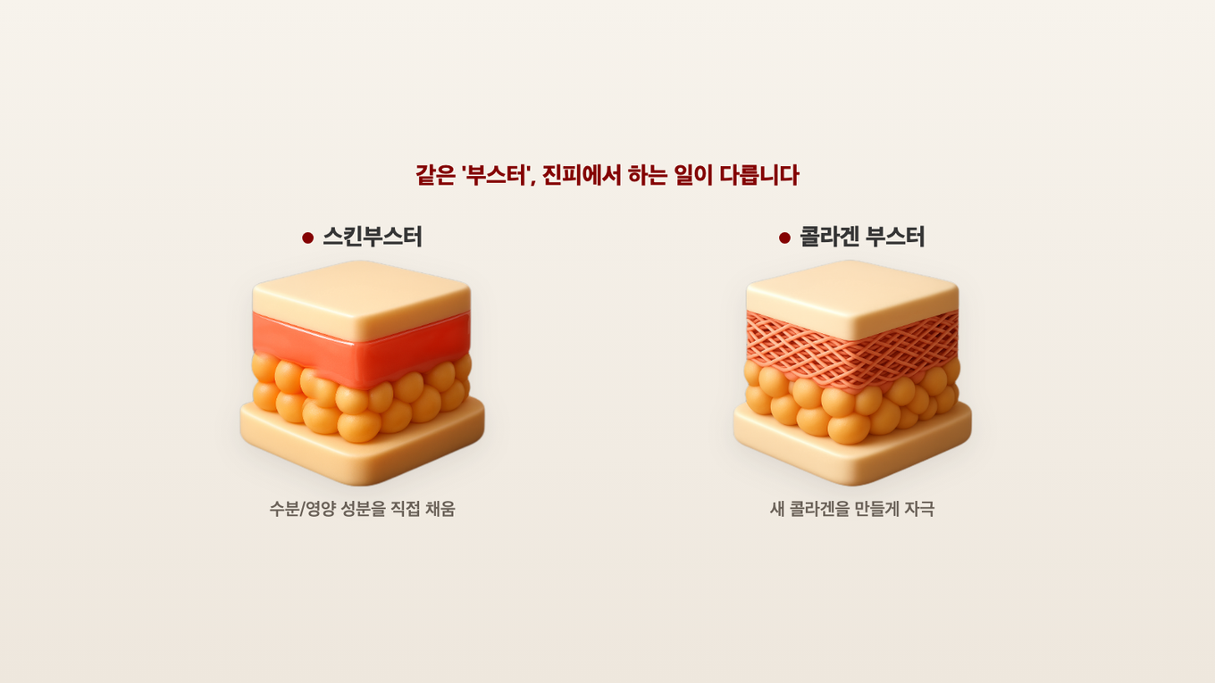 스킨부스터는 진피에 수분 성분이 고르게 스며들고, 콜라겐 부스터는 진피에 새 콜라겐 그물이 만들어진다