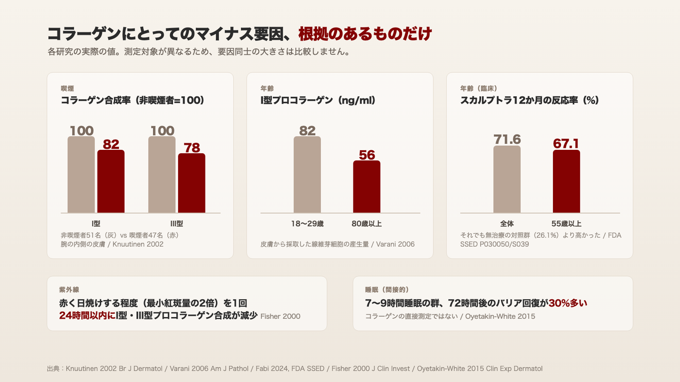 喫煙者の皮膚はコラーゲン合成率が18%、22%低く、80歳以上の線維芽細胞は若い細胞よりI型プロコラーゲンの産生が少なく、55歳以上の反応率は67.1%だった