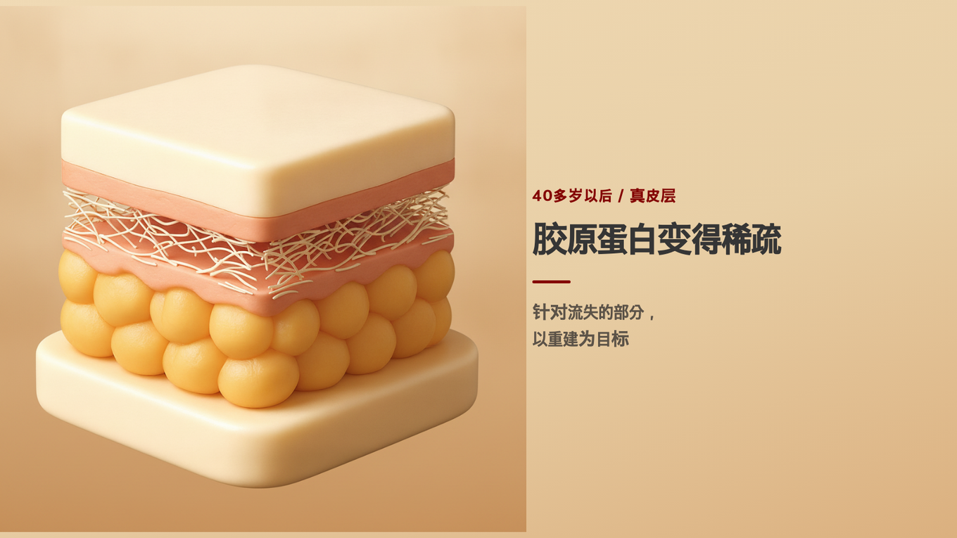 40岁以后的真皮层胶原蛋白变得稀疏，比起守护，重新搭建的重建成为目标