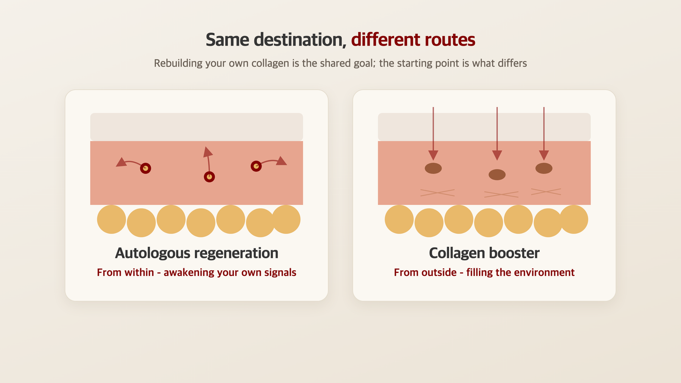 Autologous regeneration awakens internal recovery signals while collagen boosters add substances to reinforce the collagen-growing environment - the same destination via different routes
