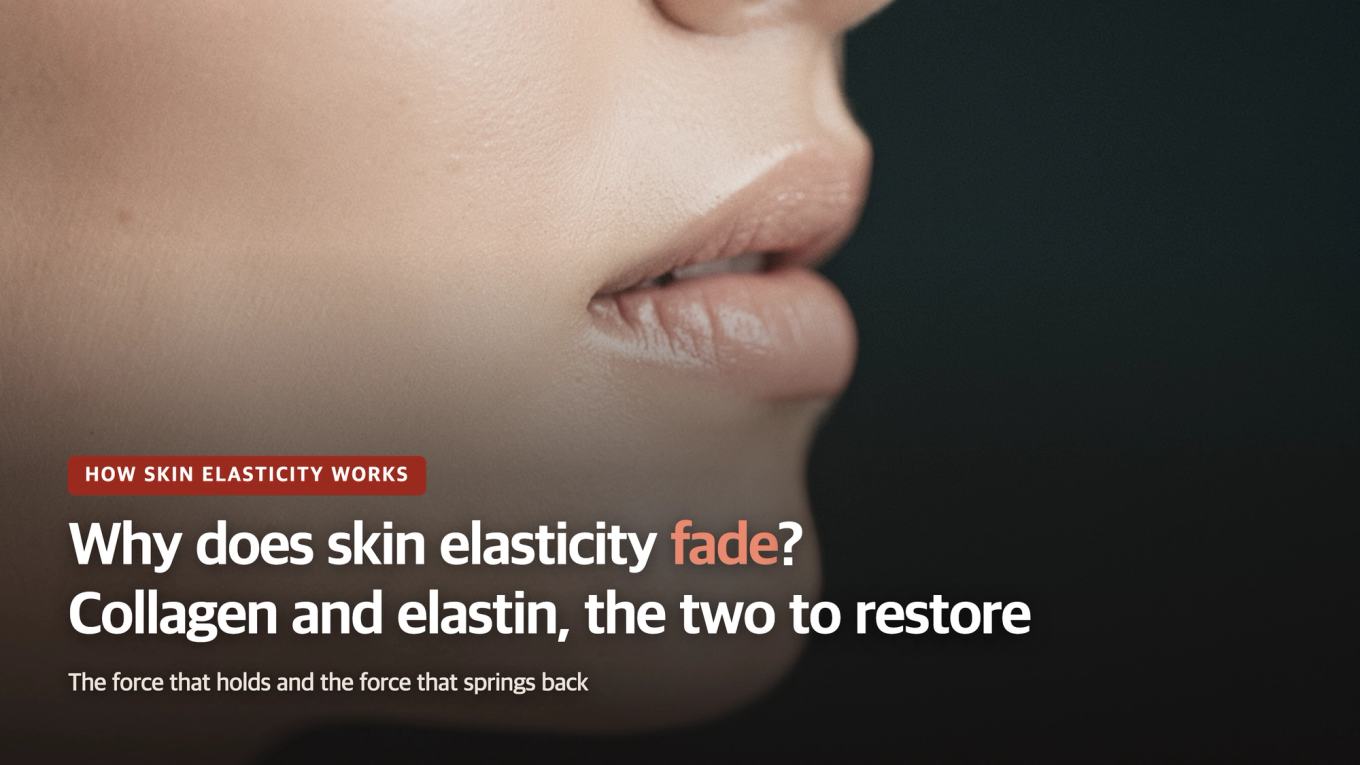 Collagen and Elastin: The Two Key Proteins for Skin Elasticity