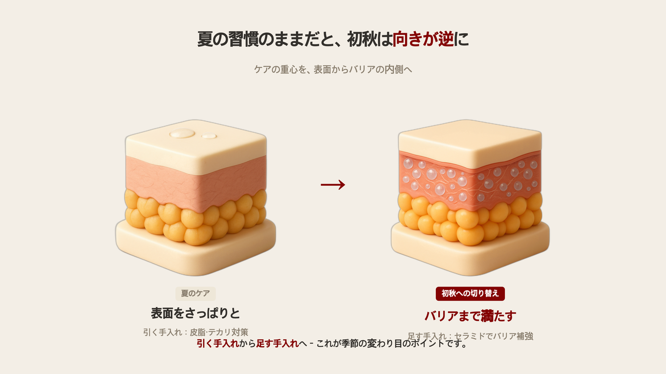 夏には表面だけをさっぱりと管理していた焦点を初秋にはバリアまで満たす方向へ移す必要があることを示す3D肌断面モデル2つでの対比図