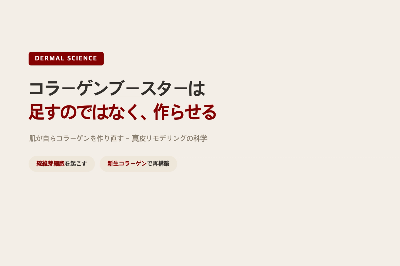 真皮層で線維芽細胞が新しいコラーゲン繊維を生成する過程を示した温かいベージュトーンの皮膚断面3Dモデル図