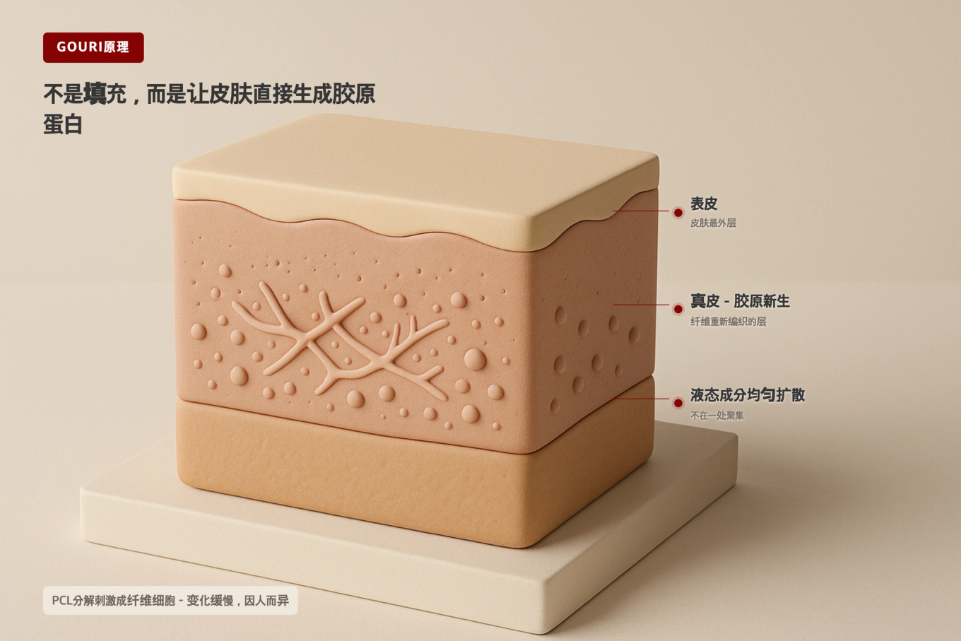 用温暖的米色调表现的皮肤切面层中胶原纤维新生过程的3D模型图