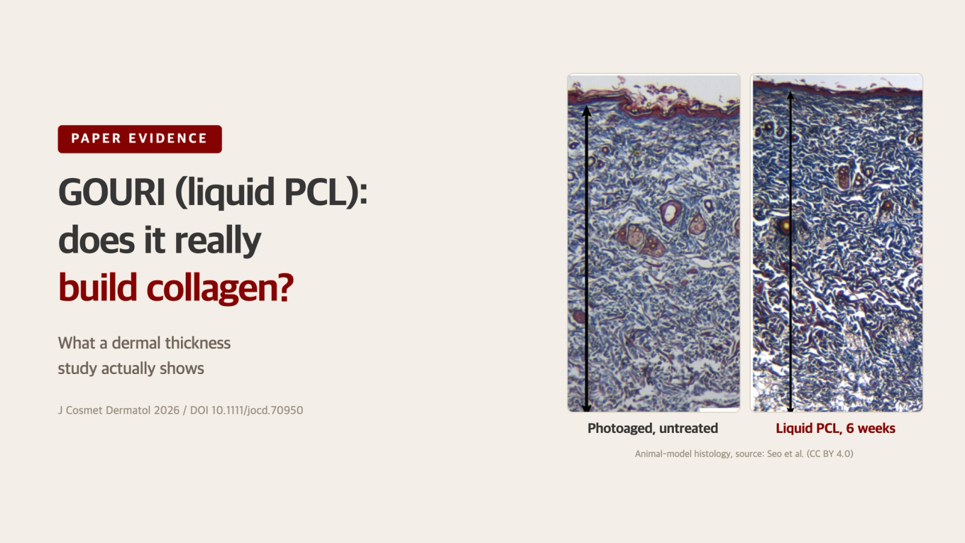 GOURI (liquid PCL): does it really build collagen / what a dermal thickness study shows