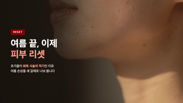 여름 끝, 손상 리셋 - 초가을이 회복 시술의 적기인 이유