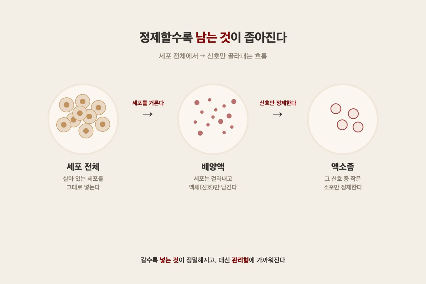 세포 전체에서 배양액으로 다시 엑소좀으로 갈수록 무엇만 남는지 보여주는 재생 성분 정제 단계 과정도