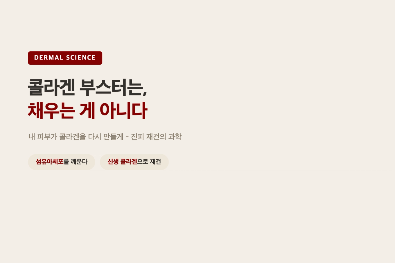 콜라겐 부스터는 채우는 게 아니라 내 피부가 콜라겐을 다시 만들게 한다는 진피 재건 주제의 타이틀 배너