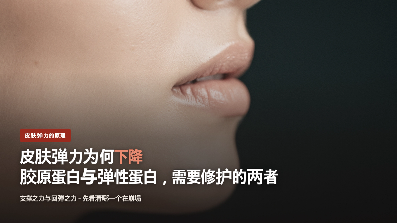 支撑皮肤弹性的胶原蛋白和弹性蛋白,值得重视的两者