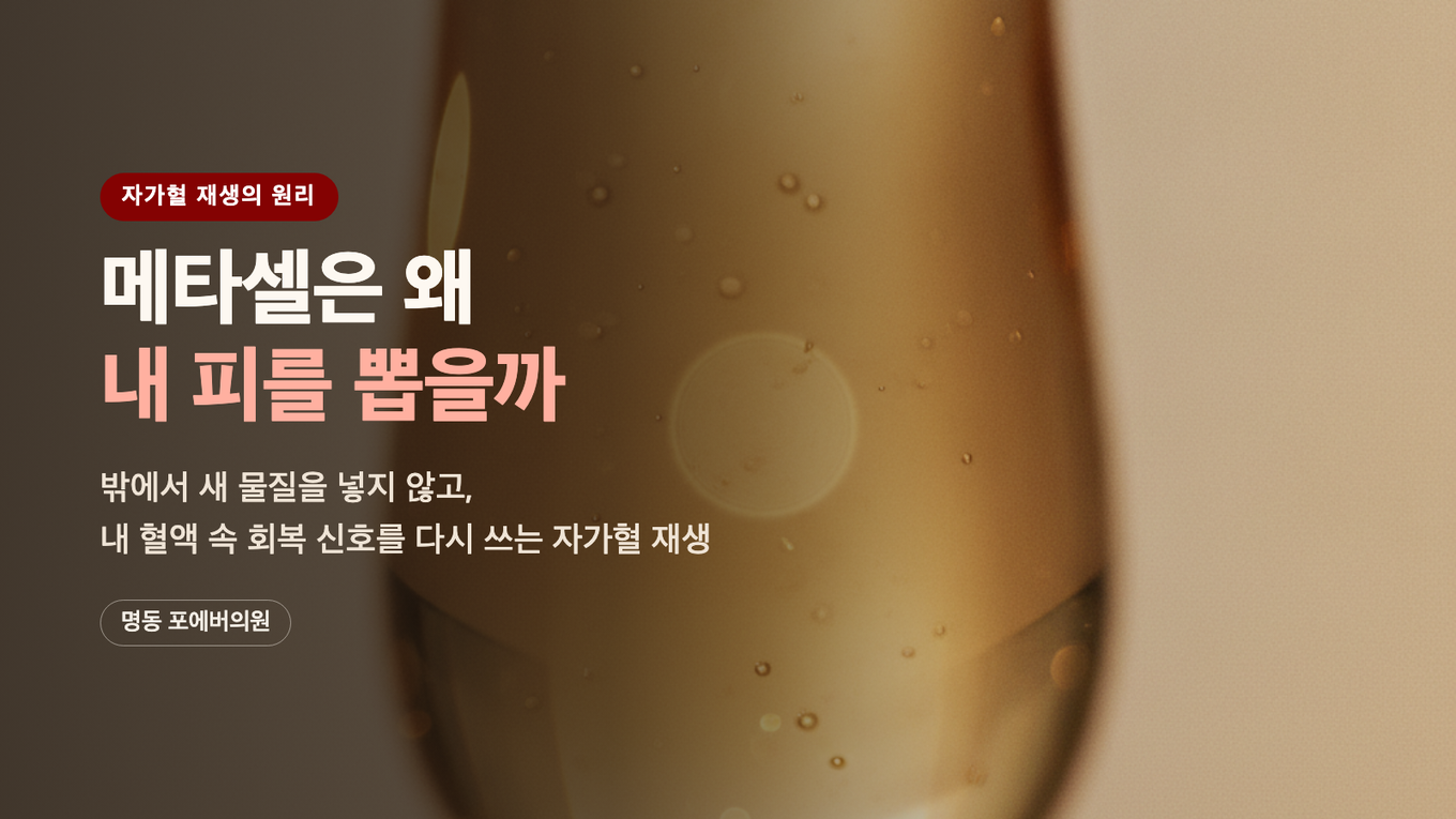 메타셀은 왜 내 피를 뽑을까 / 밖에서 새 물질을 넣지 않고 내 혈액 속 회복 신호를 다시 쓰는 자가혈 재생의 원리