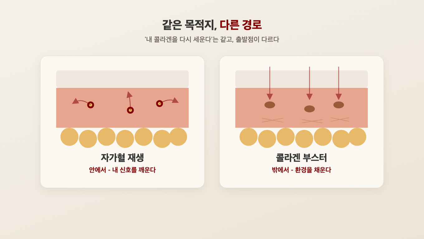 내 회복 신호를 깨우는 자가혈 재생과 성분을 넣어 환경을 채우는 콜라겐 부스터, 목적지는 같고 경로가 다르다