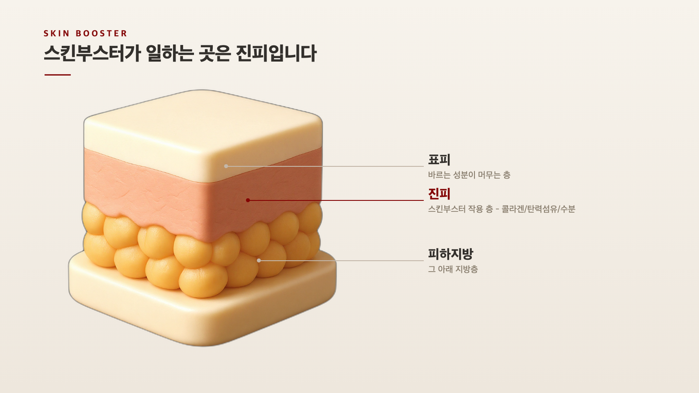 스킨부스터는 진피의 콜라겐과 탄력섬유가 있는 층을 겨냥한다