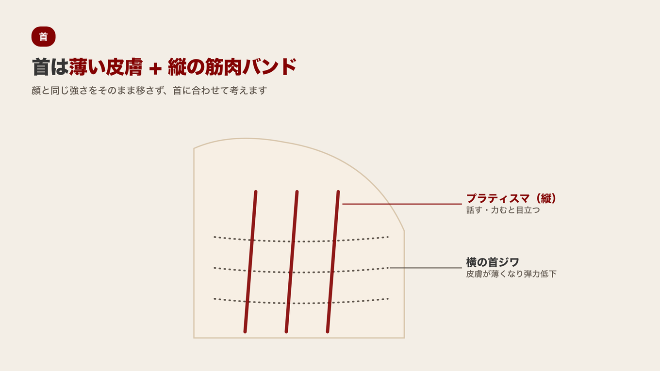 首は話すときに縦に立つプラティスマ筋肉バンドと薄い皮膚、横の首シワが重なり顔とは異なるアプローチが必要である