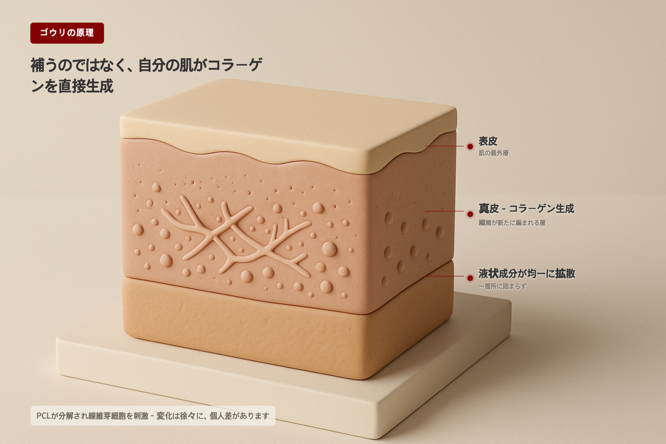 暖かいベージュトーンで表現した皮膚断面層とその内部でコラーゲン繊維が新たに生まれる過程を示す3Dモデル図