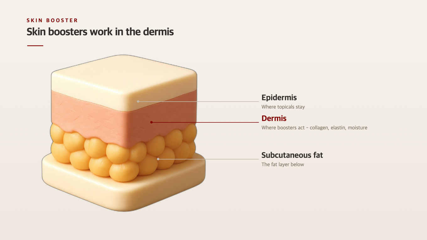 Skin boosters target the dermal layer where collagen and elastic fibers are located