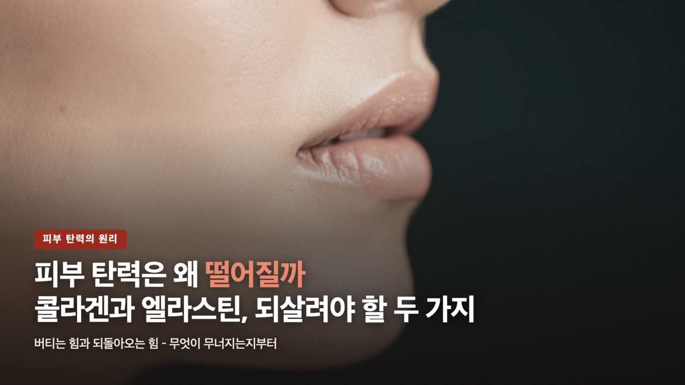피부 탄력을 지탱하는 콜라겐과 엘라스틴, 되살려야 할 두 가지