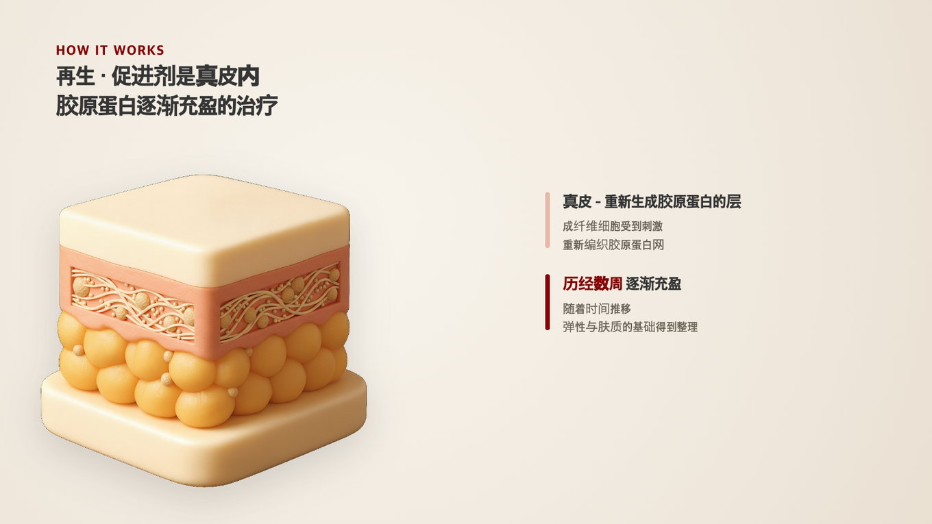 真皮层的成纤维细胞需时间生成新胶原蛋白，奠定弹性的基础