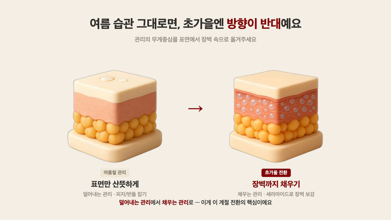 여름엔 표면만 산뜻하게 관리하던 초점을 초가을엔 장벽까지 채우는 쪽으로 옮겨야 함을 3D 피부 단면 모형 2개로 대비한 도식