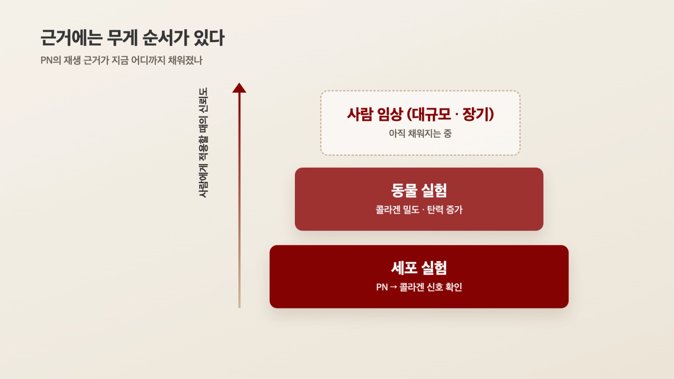 세포 실험과 동물 실험, 사람 임상으로 갈수록 근거의 무게가 달라지는 과학적 근거 등급