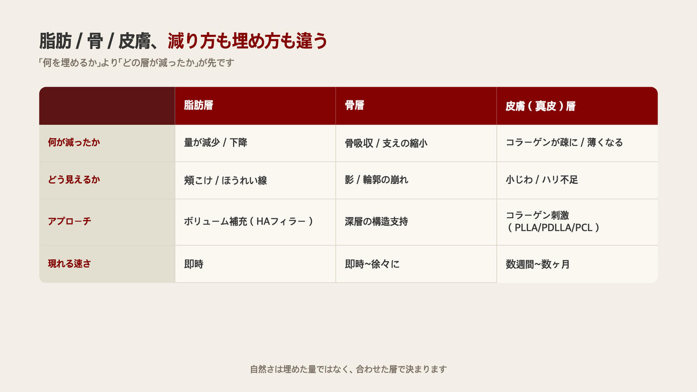 3層は減ったものもアプローチも異なる - 脂肪はボリュームを埋め、骨は構造を支え、真皮はコラーゲンを再構築する