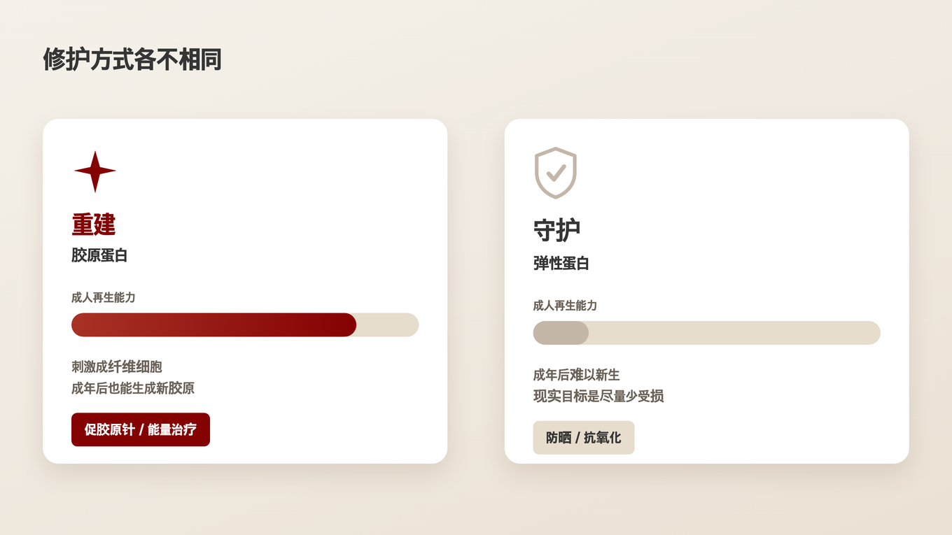 胶原蛋白可以通过刺激重新生成,但弹性蛋白在成人中难以再生,因此保护是更现实的选择