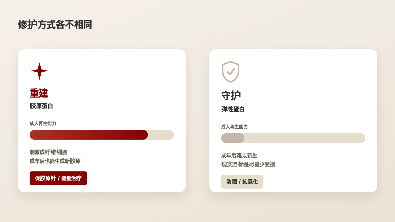 胶原蛋白可以通过刺激重新生成，但弹性蛋白在成人中难以再生，因此保护是更现实的选择