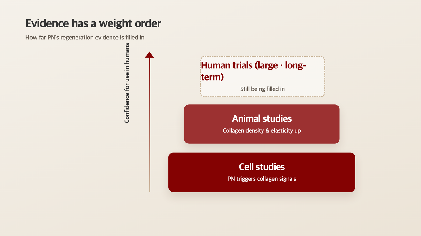 Scientific evidence gains weight moving from cell experiments to animal studies to human clinical trials
