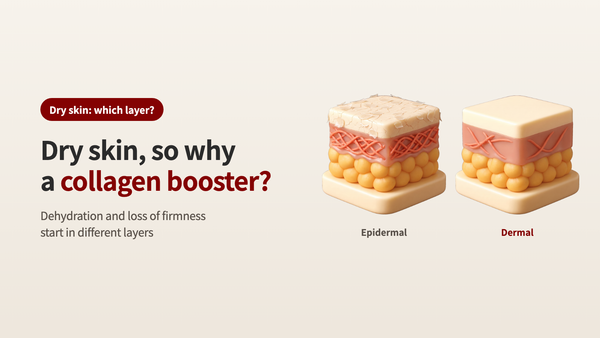 Why a Collagen Booster for Dry Skin - Dehydration and Loss of Firmness Start in Different Skin Layers