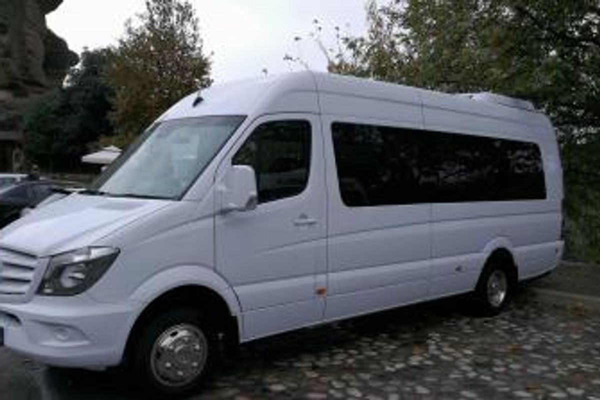 MERCEDES SPRINTER image 1