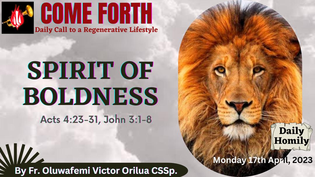 SPIRIT OF BOLDNESS, By Fr Oluwafemi Victor Orilua CSSp