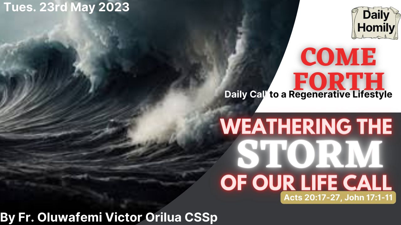 WEATHERING THE STORM OF OUR LIFE CALL, By Fr Oluwafemi Victor Orilua CSSp