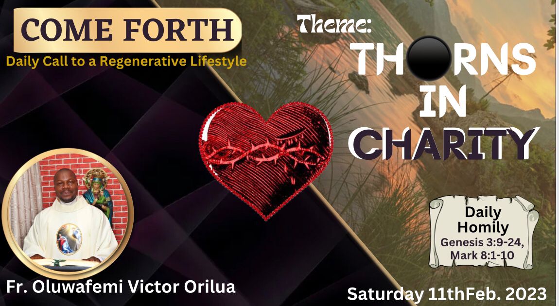 THE THORNS IN CHARITY, By Fr Oluwafemi Victor Orilua, CSSp