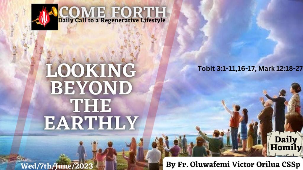 LOOKING BEYOND THE EARTHLY, By Fr Oluwafemi Victor Orilua CSSp