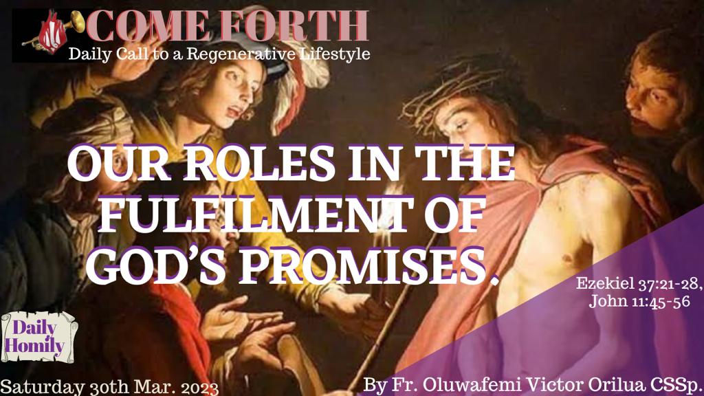 OUR ROLES IN THE FULFILMENT OF GOD’S PROMISES, By Fr Oluwafemi Victor Orilua CSSp