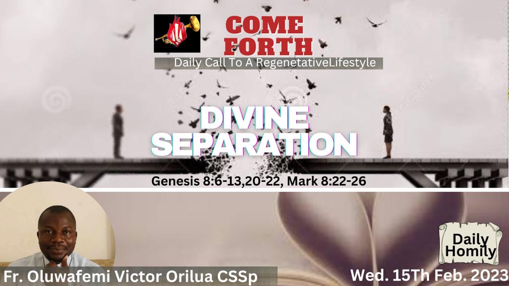 DIVINE SEPARATION,By fr Oluwafemi Victor Orilua, CSSp