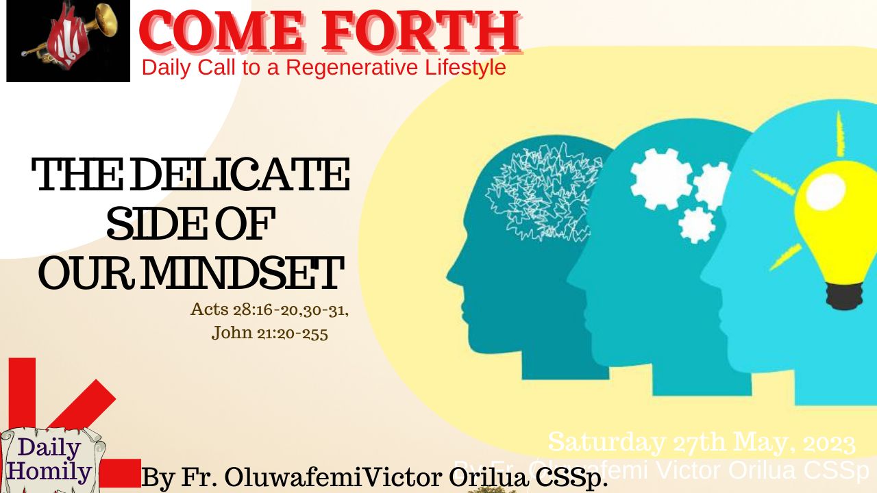 THE DELICATE SIDE OF OUR MINDSET, Fr Oluwafemi Victor Orilua CSSp