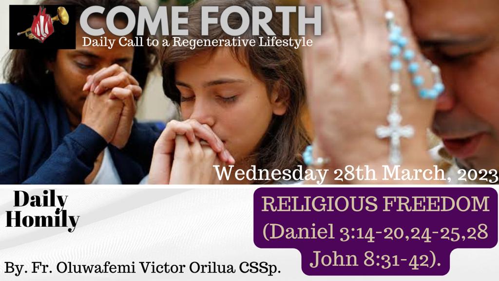 RELIGIOUS FREEDOM, By Fr Oluwafemi Victor Orilua CSSp