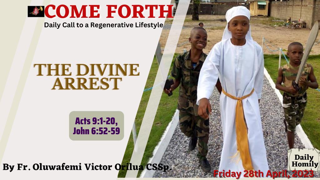 THE DIVINE ARREST, By Fr Oluwafemi Victor Orilua CSSp