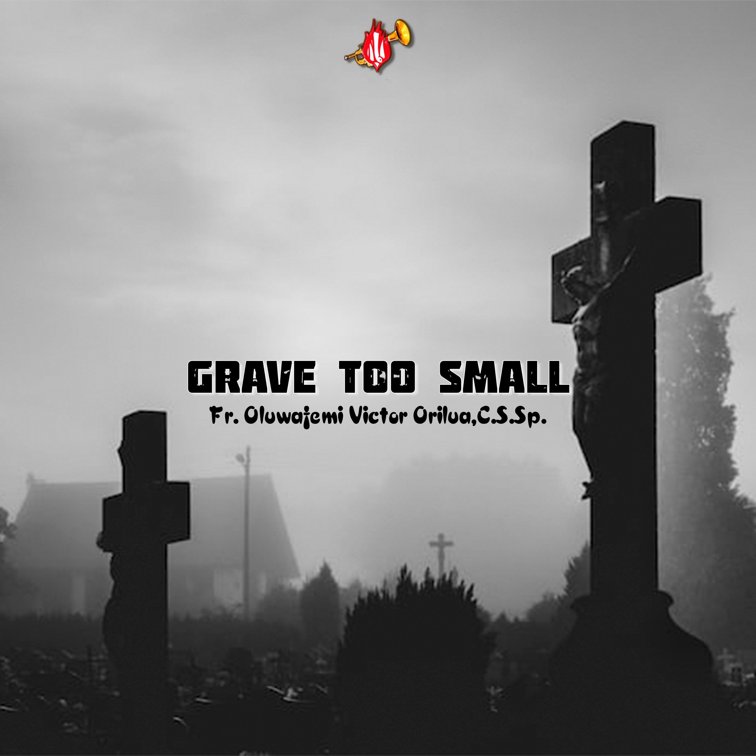GRAVE TOO SMALL, By Fr Oluwafemi Victor Orilua,CSSp