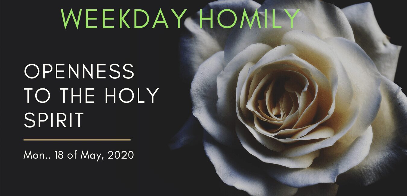 OPENNESS TO THE HOLY SPIRIT